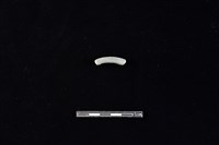 藏品(陶環)的圖片